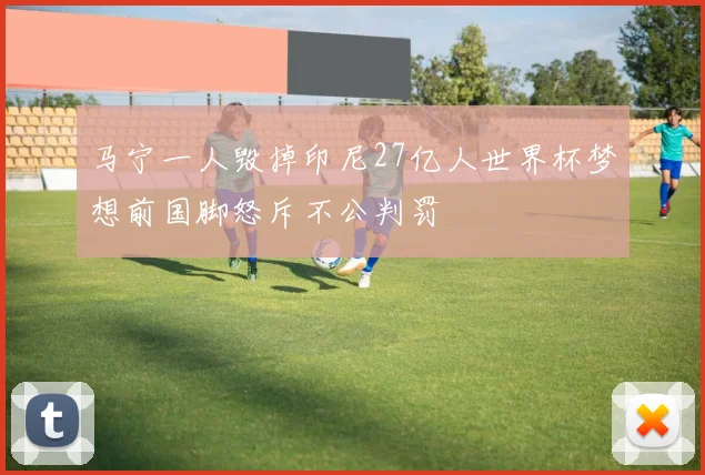 马宁一人毁掉印尼27亿人世界杯梦想前国脚怒斥不公判罚