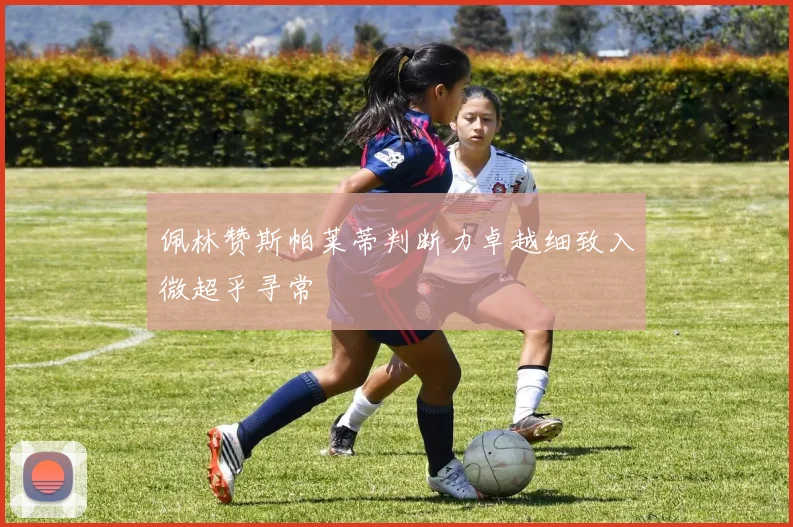 佩林赞斯帕莱蒂判断力卓越细致入微超乎寻常