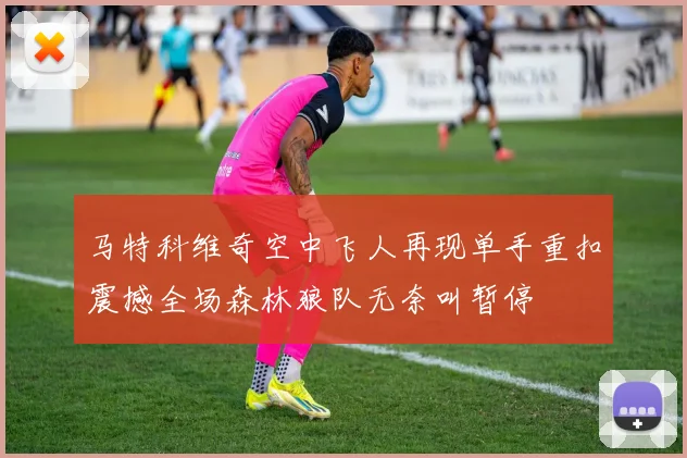 马特科维奇空中飞人再现单手重扣震撼全场森林狼队无奈叫暂停